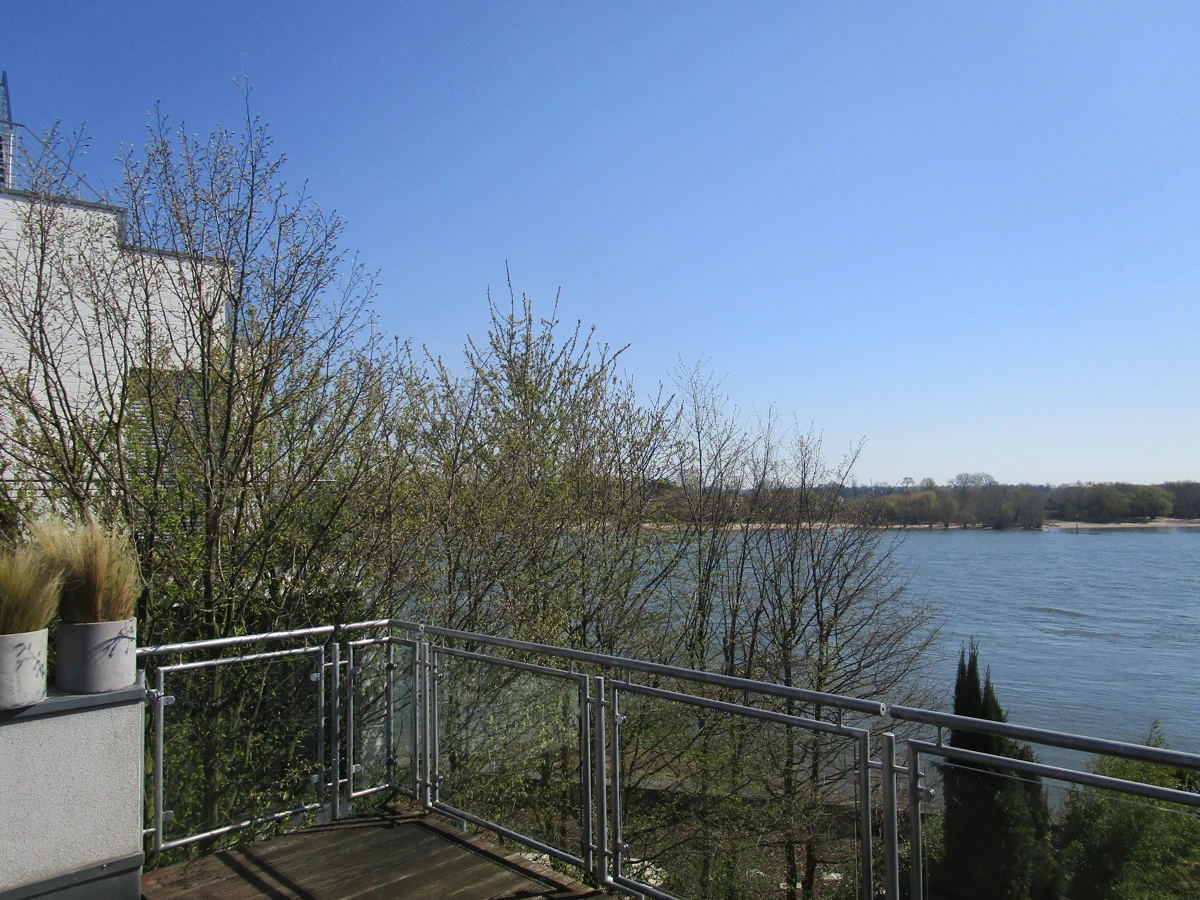Neuwertiges und modernes Einfamilienhaus direkt am Rhein